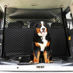 Couche Double Filet Coffre Voiture, Animaux Portable Filet Voiture pour Chien, Universelle pour