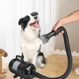 Bathrins - Sèche-poils toilettage pour chiens Séchoir professionnel pour chiens Sèche-cheveux pour