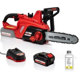 Grizzly Tools - Tronçonneuse à batterie aks 2040 Lion avec batterie 20 v - 4,0 Ah / chargeur,