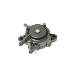 Briggs&stratton - Pompe à essence universelle Briggs et Stratton, Honda, Kohler, Kawasaki