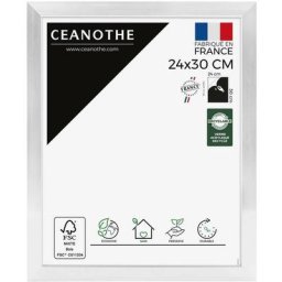 Cadre Photo Acier 24x30 cm et 30x24 cm - Convient au A4 – Fabriqué en France - Cadre Precious Acier