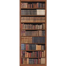 Papier peint panoramique intissé, photo d'une bibliothèque ancienne marron, collection de livres