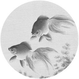 Papier peint cercle Two Goldfish 142,5 cm Wallart Poisson rouge