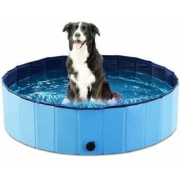 Piscine Pliable pour Chiens Animaux de Compagnie et Enfants Baignoire Bassin de Baignade