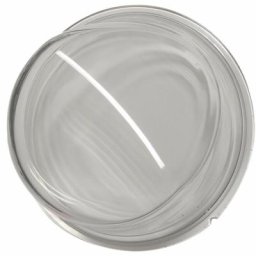 Hublot (34010769) Lave-linge THOMSON