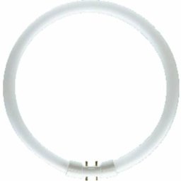 Tube fluorescent cee: a+ (a++ - e) Osram fc 40 W/840 4050300528526 2GX13 n/a Puissance: 40 w blanc