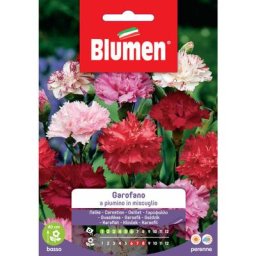 Mélange de duvet de graines d'œillets