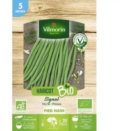 Graines de Haricot Nain vert signal bio - 5 metres