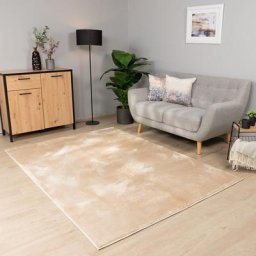 Paco Home - Tapis Salon Chambre Adulte Poils Ras Lavable En Machine Uni Moelleux 300x400 cm,
