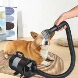 Guoyihua - Sèche-Cheveux pour Chien Sèche-Cheveux pour Animaux de Compagnie Sèche-Cheveux 2800W /