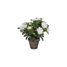 Azalée artificielle blanche en gris tiesto ø11,5cmx27xø20cm