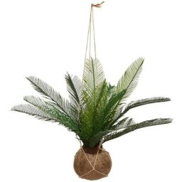 Palmier Pot de Coco Cuba H 50 - Atmosphera créateur d'intérieur - Vert