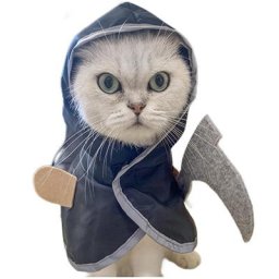 Costume d'Halloween Lavable pour Animaux de Compagnie Vêtements Amusants pour Petits Chats Soirée