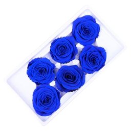 Têtes de roses éternelles de haute qualité 5-6CM de diamètre 6 pièces/boîte pour la fête des