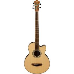 Ibanez AEB105E-NT