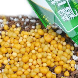 Engrais à libération lente pour plantes 10g granulés universels pour aliments plantes à fleurs