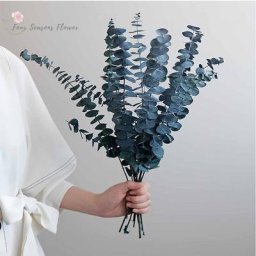 Bouquet de Feuilles d'Eucalyptus vaccées Naturelles 3 Pièces group Plante de Bohème pour Salon