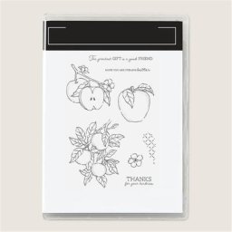 Matrices de découpe en métal Apple et timbres transparents pochoirs de matériel de Scrapbook pour