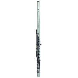 Guo New Voice C Flute Macarons
