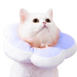 Collier à donuts en coton doux et léger pour chien protection du cou du chat pour Halloween noël