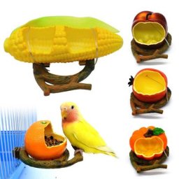 Mangeoire amusante en forme de fruit pour oiseaux mangeoire pour perroquet orange grenade bol