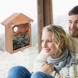 Nid d'oiseau translucide avec Cage d'alimentation pour perroquet fournitures de bricolage pour nid
