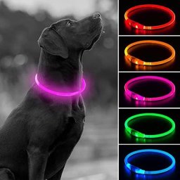 Collier Led Usb pour chien Charge nocturne lumineux sécurité nocturne clignotant prévention des