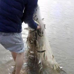 Filet de pêche en maille Fine avec et sans plombs pour le sport le lancer à la main R66E