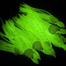 Lot d'appâts souples pour la pêche pack de leurres pour attraper des poissons tels que des