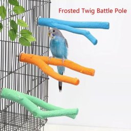 Perche pour oiseaux accessoires de Cage pour perroquets bâton debout meulage de la patte sur