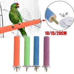 Station de perchoir pour perroquet anciers molaire pour oiseau de compagnie fournitures de jouets