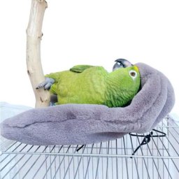 Châle d'oiseau chaud pour l'hiver coin de accent couverture de perroquet petits animaux de