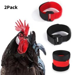 Ceinture de cou anti-crochet pour coqs collier sans corbeau pour coqs fournitures de volaille de