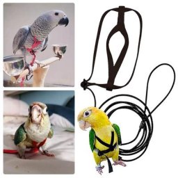 Harnais réglable pour oiseau perroquet laisse sangles de Traction volantes en plein air bande