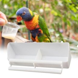 Filles d'eau anti-fuite pour perroquet pour animaux de compagnie écuelle sûre pour oiseaux