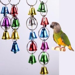 Jouet de perroquet coloré cloche ficelle oiseau jouet à gratter décoration de la maison 1