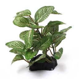 Plante aquatique artificielle tortues de poisson décorations Kiev itat ornements précieux