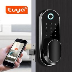 Z50 Tuya – serrure biométrique à empreintes digitales pour téléphone intelligent verrou de porte à