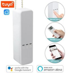 Tuya Smart Home Hurized JORoller Stores Drive Motor Moteurs de rideaux électriques intelligents