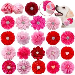 Nœud papillon pour animaux de compagnie accessoire de luxe pour la saint-valentin coulissant