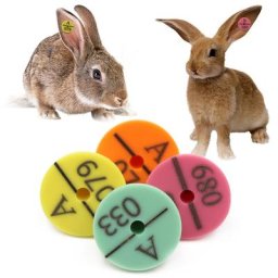 Signes d'étiquette d'oreille de lapin carte d'identification d'animaux marquage laser en continu
