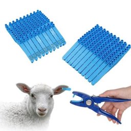 Étiquettes d'oreille de mouton et de chèvre pour animaux boucles d'oreilles de tête de typage au