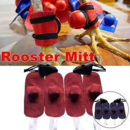 Couvre-pieds en cuir jetable pour coq équipement de protection pour coq lutte qualité Aaa gants