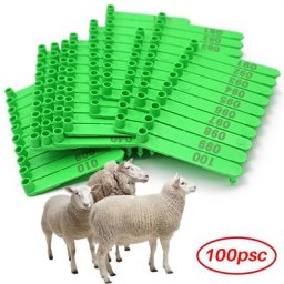 Pince à étiquette d'oreille en plastique pour animaux de ferme carte de notification d'urgence