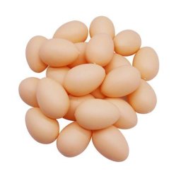 Petits emoufs Jetables de 5x3.4cm Fournitures pour Animaux de Ferme Cages Accessoires Guide