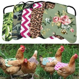 Tablier de protection pour poule imperméable accessoires amusants fournitures pour animaux de