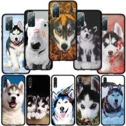 Coque de téléphone Animal Husky Puppy Dog coque souple pour Samsung Galaxy S23 S22 S21 S20 Fe