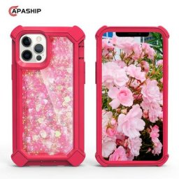 Coque de téléphone Quicksand liquide à paillettes dégradées couverture anti-chute iPhone 11 12