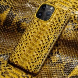 Coque de téléphone en cuir python 100% véritable étui en peau de serpent pour iPhone 11 12 13 14