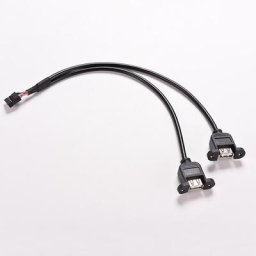 Câble interne de carte mère PCB 30cm séparateur USB 1ft carte mère 9 broches vers 2 câble